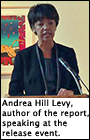 Andrea Hill Levy