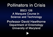 Pollinators in Crisis Video Intro