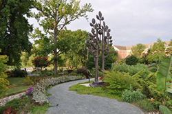 Pathway in the Peace and Friendship Garden