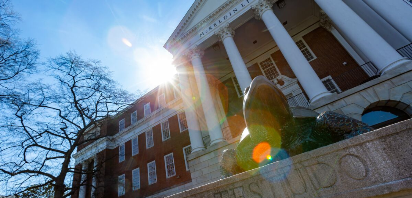 testudo statue in the sun