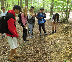 Students researching in the field
