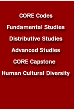 What are the CORE courses?