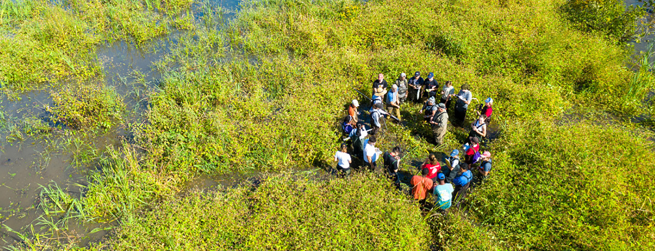 Aerial view of a circle of people in a swamp