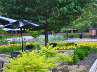seating in Tawes Plaza