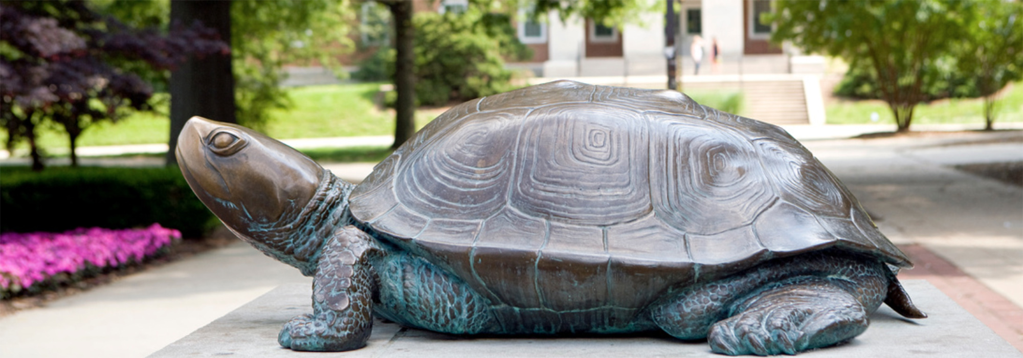 Testudo statue